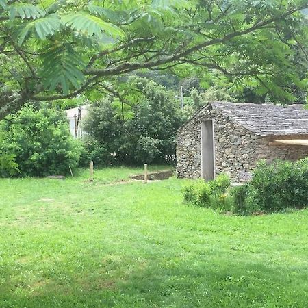 Villa Olivetu à Sisco Extérieur photo